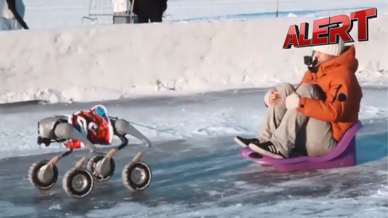 Robot Dog Sled Ride Adds Futuristic Twist To Winter Fun In China’s Harbin | ALERT News