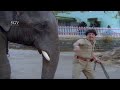 Dr. Vishnuvardhan Beats Elephant Without Knowing The Truth | Jayasimha Kannada Movie Scene