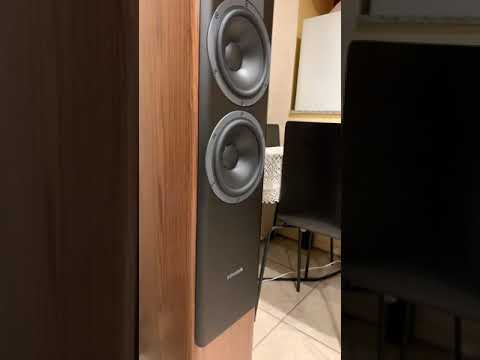 dynaudio contour 30..