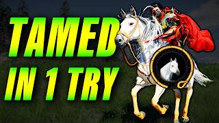 How to Tame Every Legendary Horse in 1 TRY | Crimson Desert