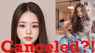 Song Jia is Being Canceled by Korean Netizens
