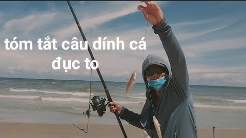 ✅@/tóm tắt câu được cá đục to