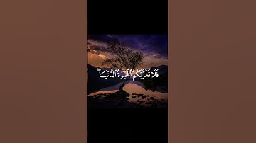 سورة فاطر أية 5 #quran #تلاوة #تلاوة_خاشعة #قرآن #ياسر_الدوسري