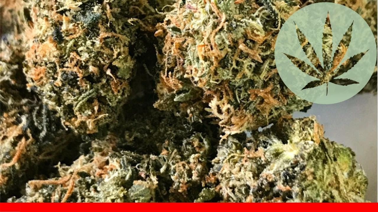 Orange Diesel - All About This Strain