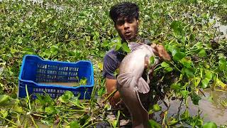 Hand Fishing Video 2026.  Amazing Boy Is Catching Big Catfish From Under The Water Hyacinth.