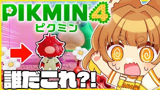 【ピクミン】完全初見！ロリ声小学生VTuberが完全初見でピクミン４をやってみる！！３回目【ロリ声小学生VTuberあのちゃん🐶 📛】