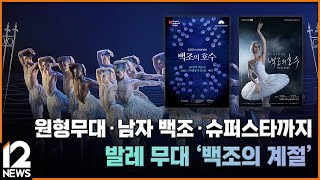 원형무대·남자 백조·슈퍼스타까지…발레 무대 &#39;백조의 계절&#39; / EBS뉴스 2025. 07. 01