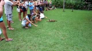 DSCF0684.AVI
