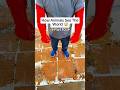 How Animals See The World XXX TENTICION Ytshorts Viral Usa Uk How Animals See The World XXX TENTICION Ytshorts Viral Usa Uk