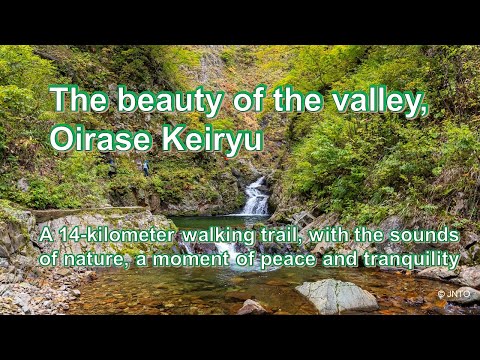 Japan Travel “Oirase Keiryu” (in Aomori)