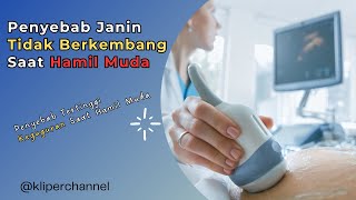 Penyebab Janin Tidak Berkembang Saat Hamil Muda