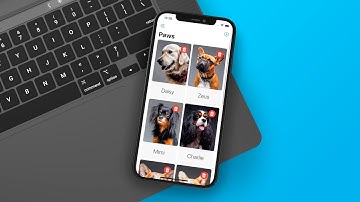 SwiftData Course - Paws iOS App with SwiftUI Preview