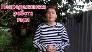 видео: Работа горя. Болезнь траура и фантазм чудесного трупа, М. Торок и Н. Абрахам. Психоанализ горя картинка: Работа горя. Болезнь траура и фантазм чудесного трупа, М. Торок и Н. Абрахам. Психоанализ горя