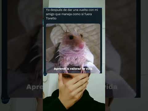 MEMES RANDOM #269