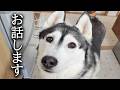 非常に残念で悔しい事が...