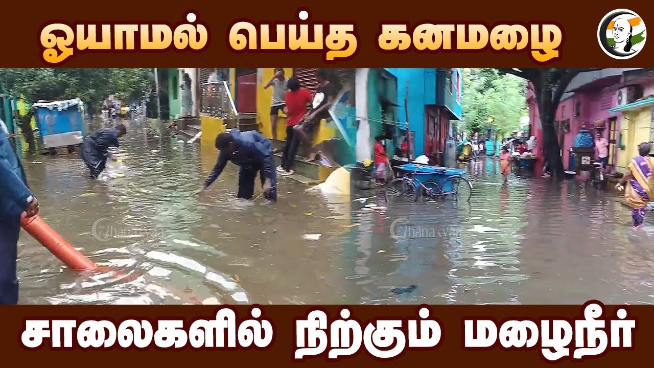 ஓயாமல் பெய்த கனமழை.. சாலைகளில் நிற்கும் மழைநீர்! | Fengal Cyclone | Chennai Rain | TN Rain Updates
