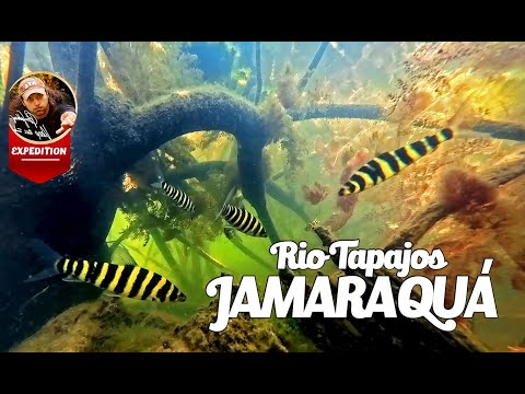 Jamaraqua Rio Tapajos Part II