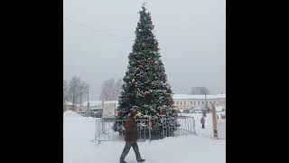 Городская ёлка 🎄