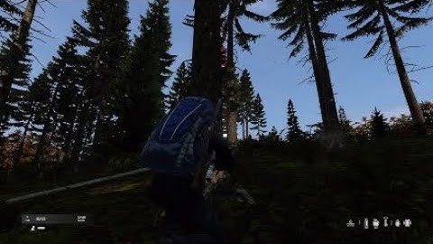 DayZ, killed a server owner and admin, got banned.
