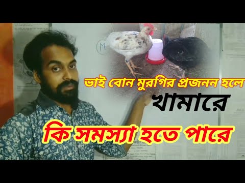 ভিডিও: ইনব্রিডিং খারাপ কেন?