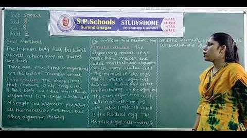 STD 8 CBSE | SCIENCE LEC 27 | S P SCHOOL SURENDRANAGAR