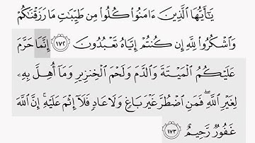 حفظ سورة البقرة ايه(   ١٧٢  / ١٧٣ ) للقارىء أيمن سويد