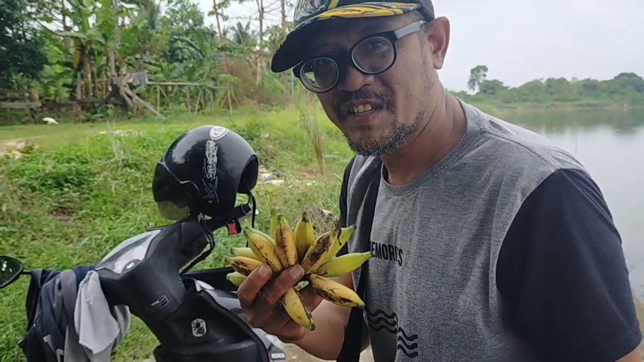 TARGET IKAN PATIN UMPAN PELET + PISANG #mancing#patin#umpan#pelet#