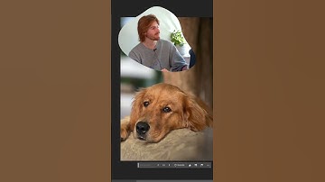Using Photoshop AI to Change My Dog