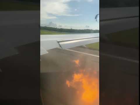 В самолет AZUR Air при взлете в аэропорту Варадеро врезалась стая птиц