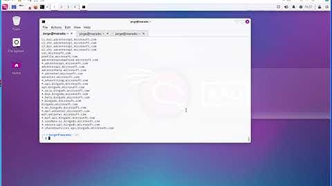 Subdomain Reconnaissance with assetfinder