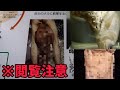 世界でも珍しい寄生虫博物館   目黒寄生虫館