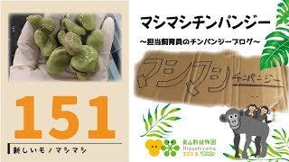 ヤマネとチンパンジー 東山動植物園公式】マシマシチンパンジー『第80回～アカチャン
