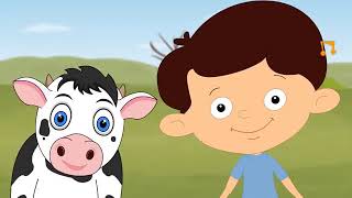 Class I Science Video 9 week3