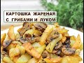 Картошка жареная с грибами  / Картошка с Шампиньонами / Простой рецепт