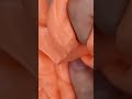 Creamy Orange Slime Squashed #shorts #slimeasmr #slimevideo #asmr #asmrsounds #asmrvideo #squishy