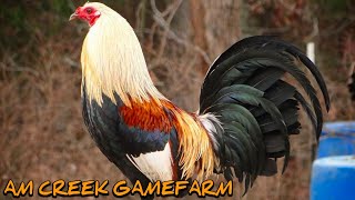 Grey Sweater Albany - AM CREEK FARM