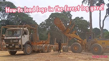 How to load logs in the forest log yard!