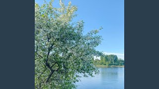 пыльца