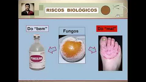 O que são riscos biológicos no ambiente de trabalho?