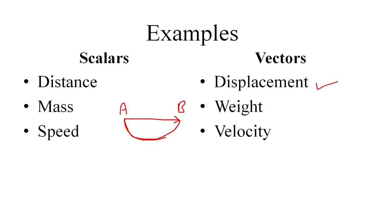 Difference between Scalars and vectors YouTube