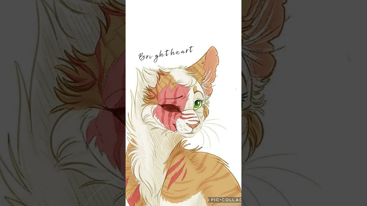 Warrior Cats Voice Claims Pt 4 Warriorcats Voiceclaims