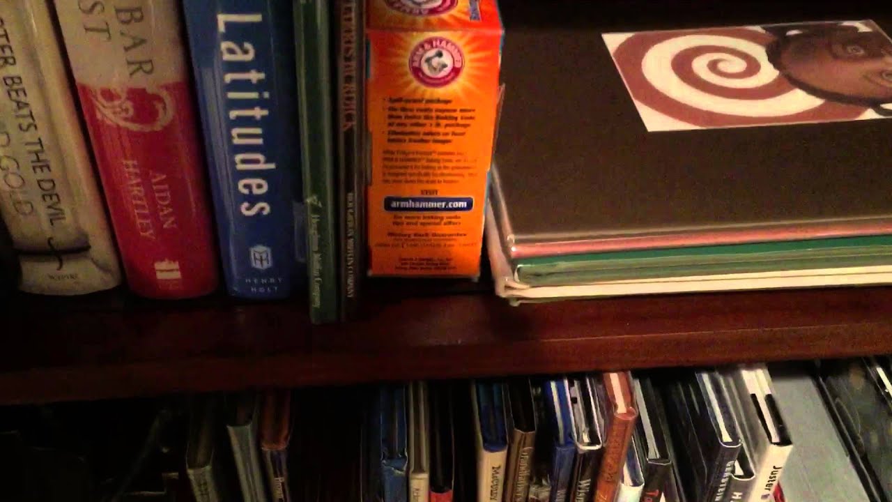 Building My First Edition Book Collection Part 8 (Washington Irving's