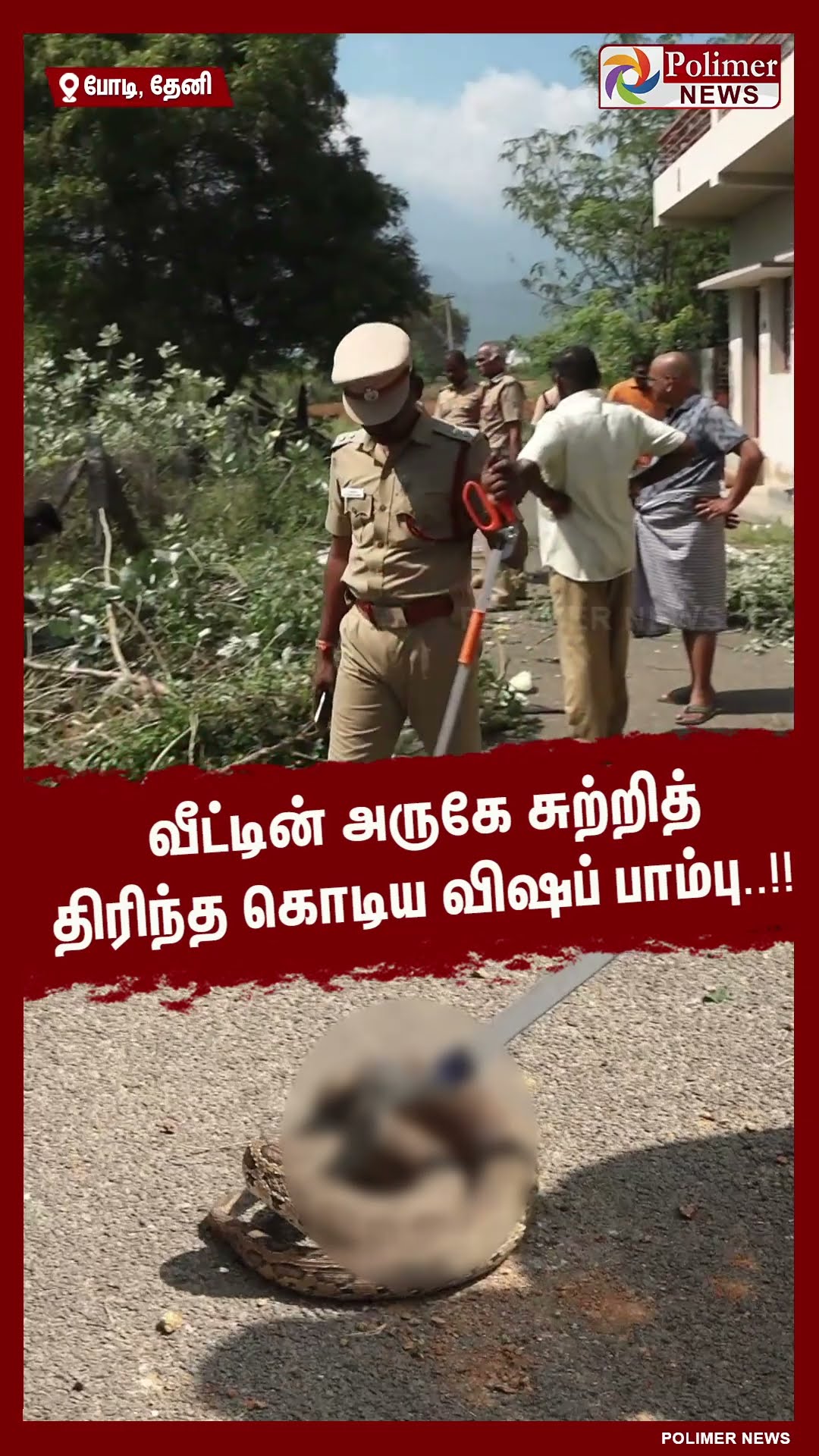 வீட்டின் அருகே சுற்றித் திரிந்த கொடிய விஷப் பாம்பு..!! #shorts | #snake