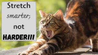 How To Get Flexible Faster Tips To Stretch More Effectively Precious Jewel