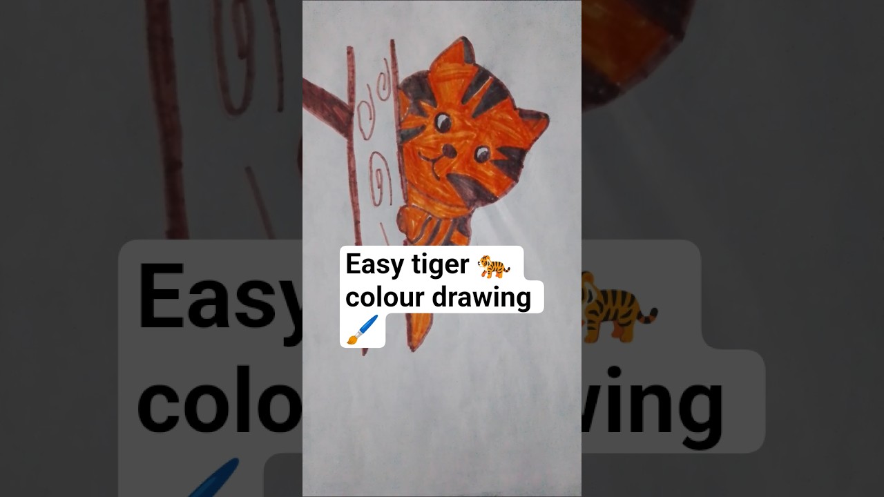 Tiger 🐅 colour drawing easy 