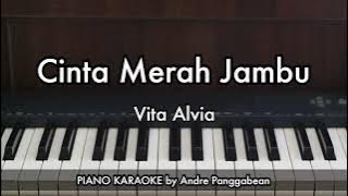 Cinta Merah Jambu - Vita Alvia | Piano Karaoke by Andre Panggabean