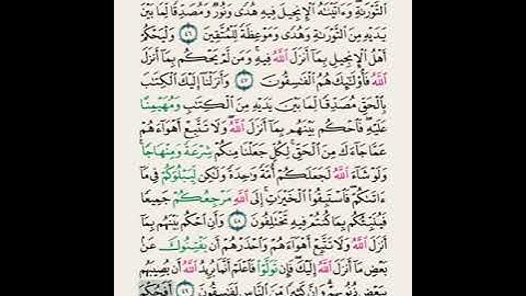 سورة المائدة اية ٤٢ الى اية ٥٧