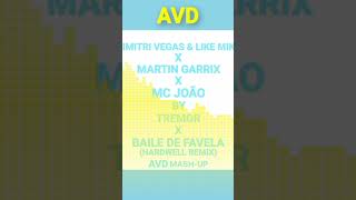 Dvlm X Martin Garrix X Mc Joo By Tremor X Baile De Favela hardwell Remix avd Mashup