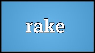 Celebrity Rake Meaning Net Worth