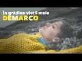 DEMARCO - In gradina vietii mele [videoclip 2020]